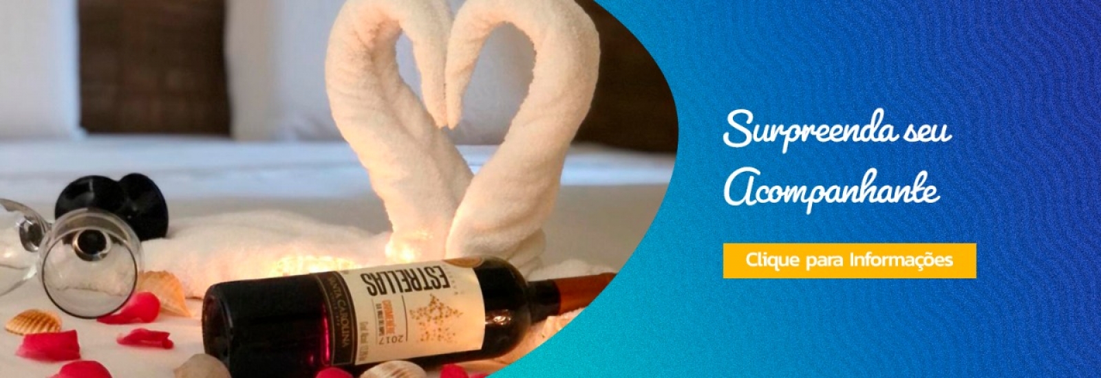 Surpreenda seu amor 